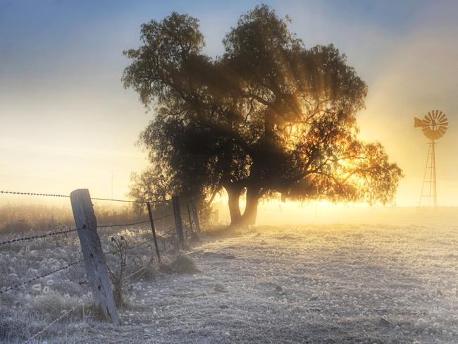 The Bureau of Meteorology is predicting more frosty mornings across the southwest of Queensland.