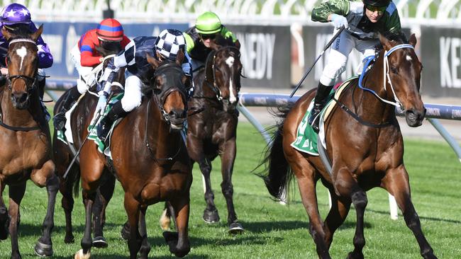 There’s no question Incentivise is the one they all have to beat in the Caulfield Cup. Picture: Vince Caligiuri–Getty Images