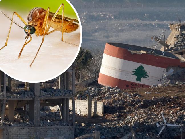 Liverpool City Council has spent the same amount of money on providing humanitarian aid to Lebanon as it did on mosquito management in the financial year before an insect infestation. Pictures: Jalaa Mare/AFP, Supplied