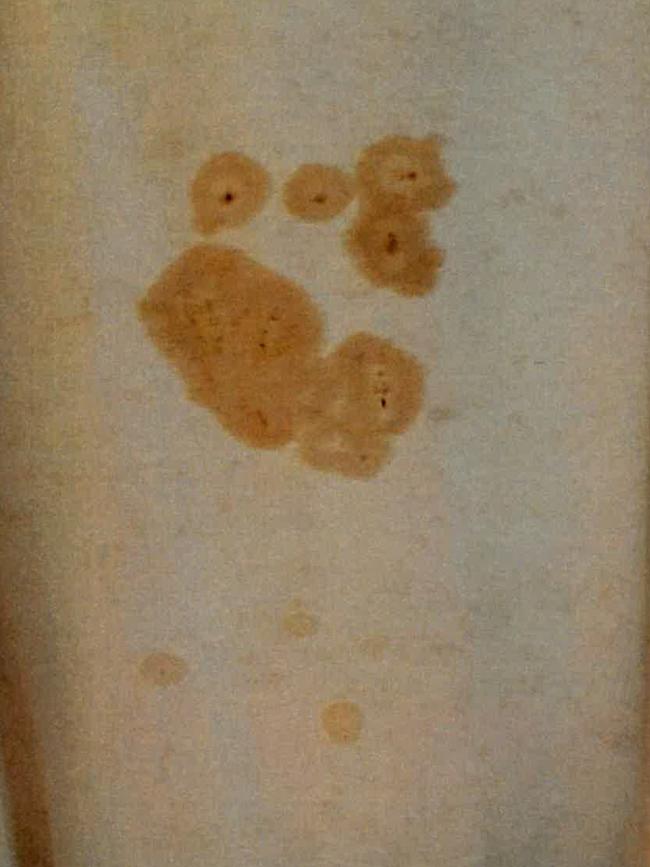 A picture taken by Lynn Tait of a stain on a curtain during her stay at a quarantine hotel.