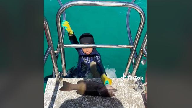 The boy flopped his catch onto the boat moments before being nipped. Picture: TikTok/huntmaster