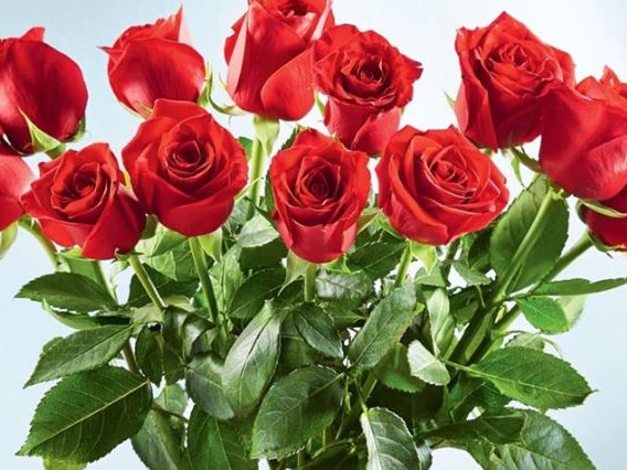 A dozen roses are just under $20 this year at Aldi.