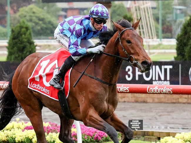 Jennilala ridden by Zac Spain wins the Ladbrokes Mates Mode Plate at Moonee Valley Racecourse on October 28, 2022 in Moonee Ponds, Australia. (Photo by George Salpigtidis/Racing Photos via Getty Images)