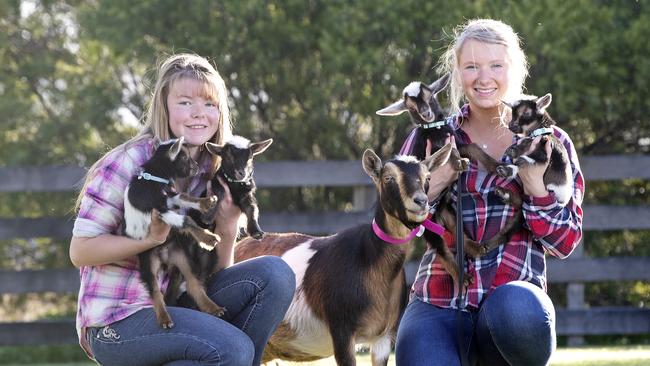 Summer and Kirralee Hoffman with the quadruplet Nigerian Dwarf goats. Picture: Chris Kidd