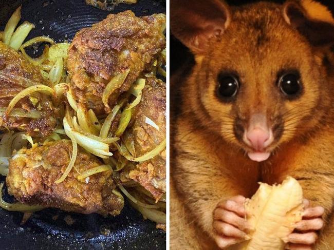 Owen Robertson's possum butter "chicken". Picture: Supplied.