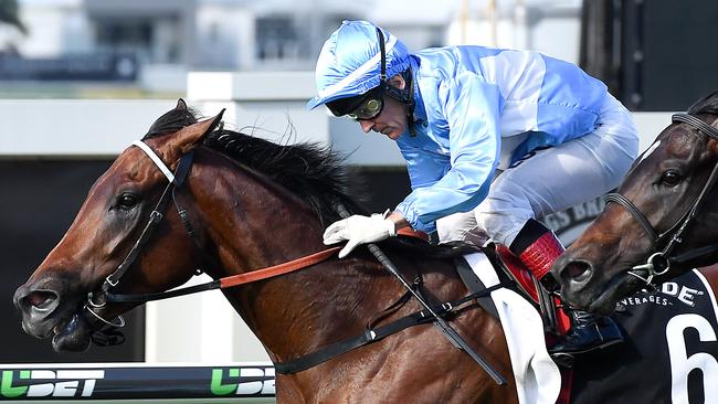 Whypeeo will be hard to beat first-up at Doomben on Saturday. Picture: AAP