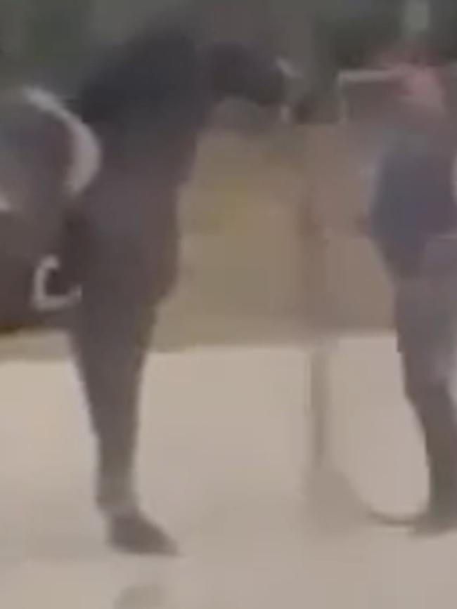 Graphic footage shows a horse trainer, Anthony Dean Thomas, 49, violently hitting the animal. Picture: Supplied