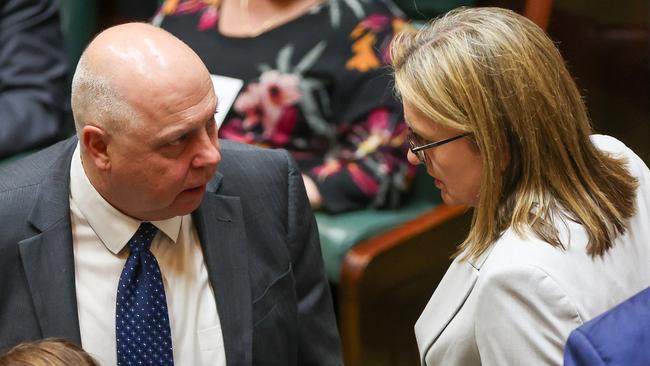 Treasurer Tim Pallas and Victorian Premier Jacinta Allan confer in parliament in Melbourne on Tuesday. Picture: Getty Images