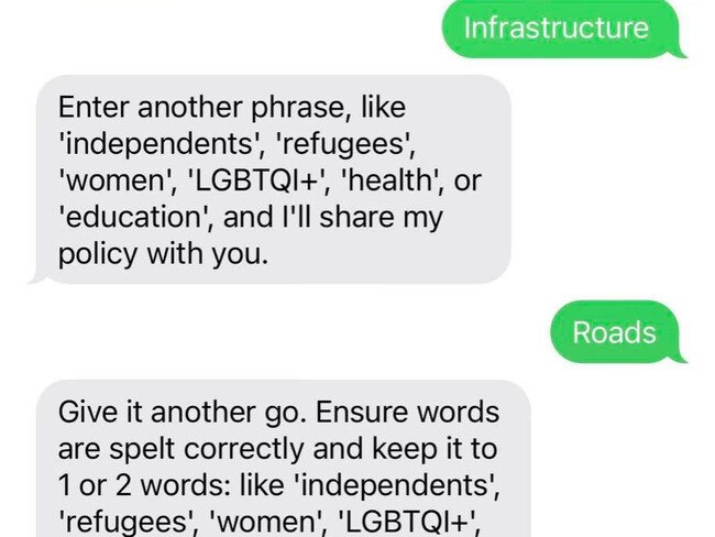 Allegra Spender’s text messages had nothing to offer voters interested in infrastructure and roads. Picture: Supplied