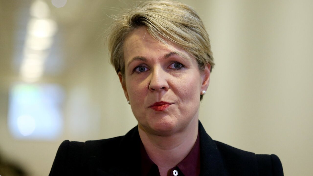 Coalition's aged-care funding boost 'pathetically small': Plibersek