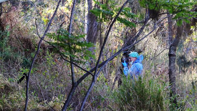 The place where Ross’ body was found. Picture: Glenn Hampson.