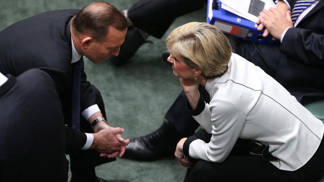 Foreign Affairs Minister Julie Bishop told Tony Abbott she believed the numbers were there for a challenge to his leadership and proposed three options.