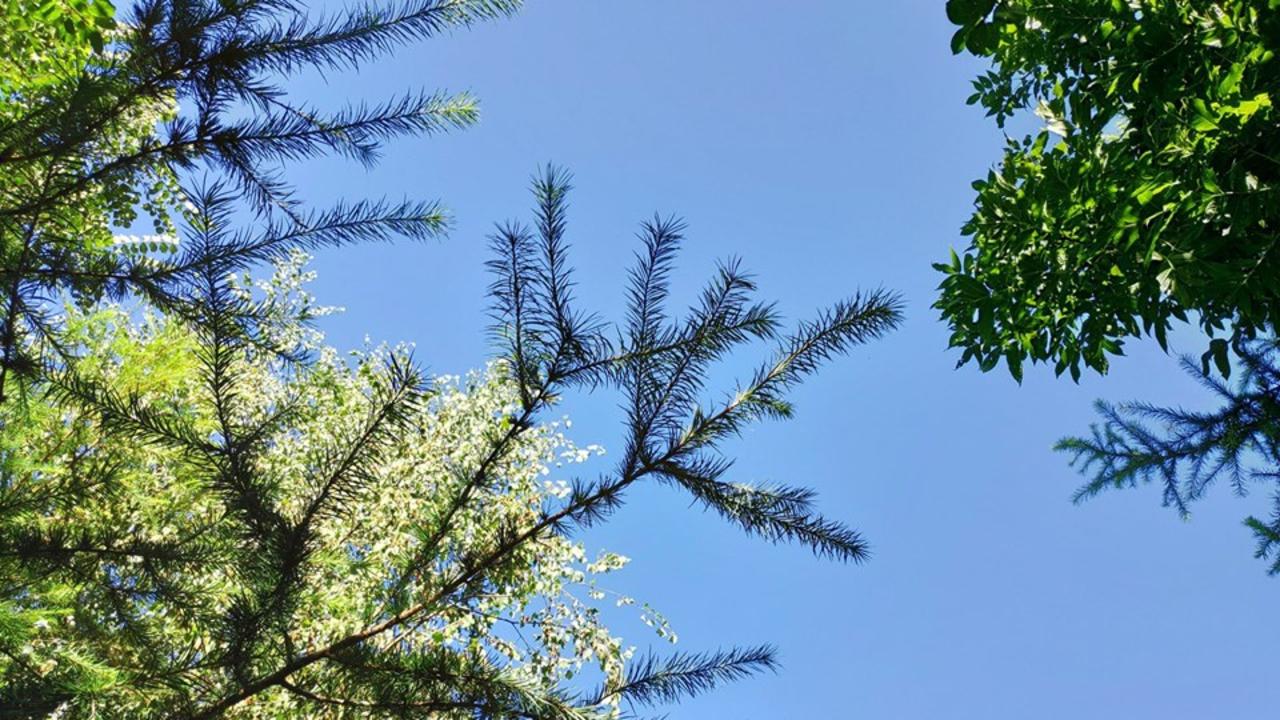 Jan’s most recent post showed a blue, sunny sky. Picture: Facebook/Jan Zon van Dorsten