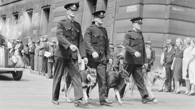 Police on parade with dogs at the corner of Bridge and Phillip streets in 1938, with Adam Denholm on the right. Picture State Library of NSW