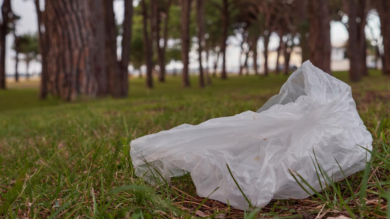 Lightweight plastic bags will be banned in NSW from June 1. Picture: NSW Government