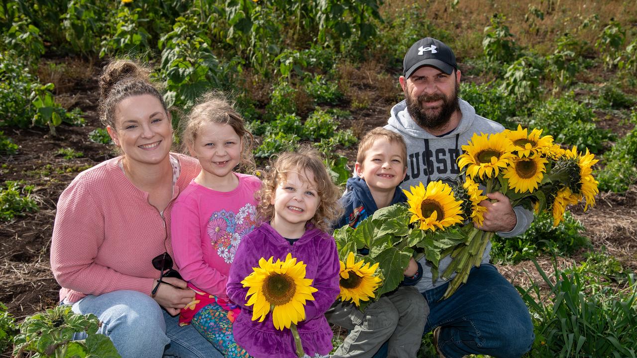 Enjoying a family fun day out among the sunflowers, Erin, Ainsley, Kenzie, Ezekiel and Nick Parkinson.Open day at Warraba Sunflowers, Cambooya. Saturday June 29th, 2024
