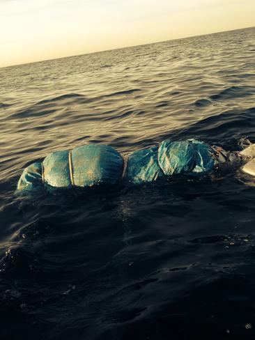 Wrapped body found floating near Shelly Beach, Cronulla may be missing student Jamie Gao.