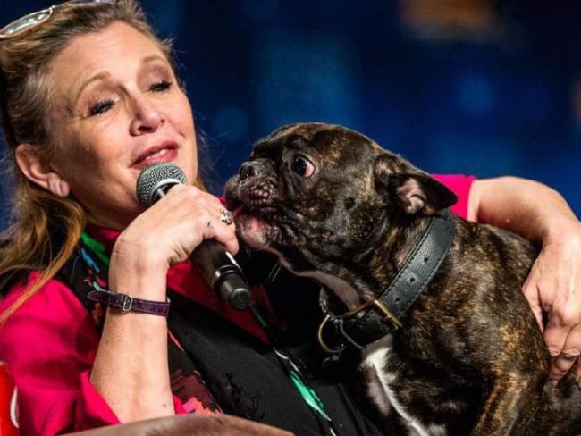 Carrie Fisher with her dog Gary. Picture: Supplied.