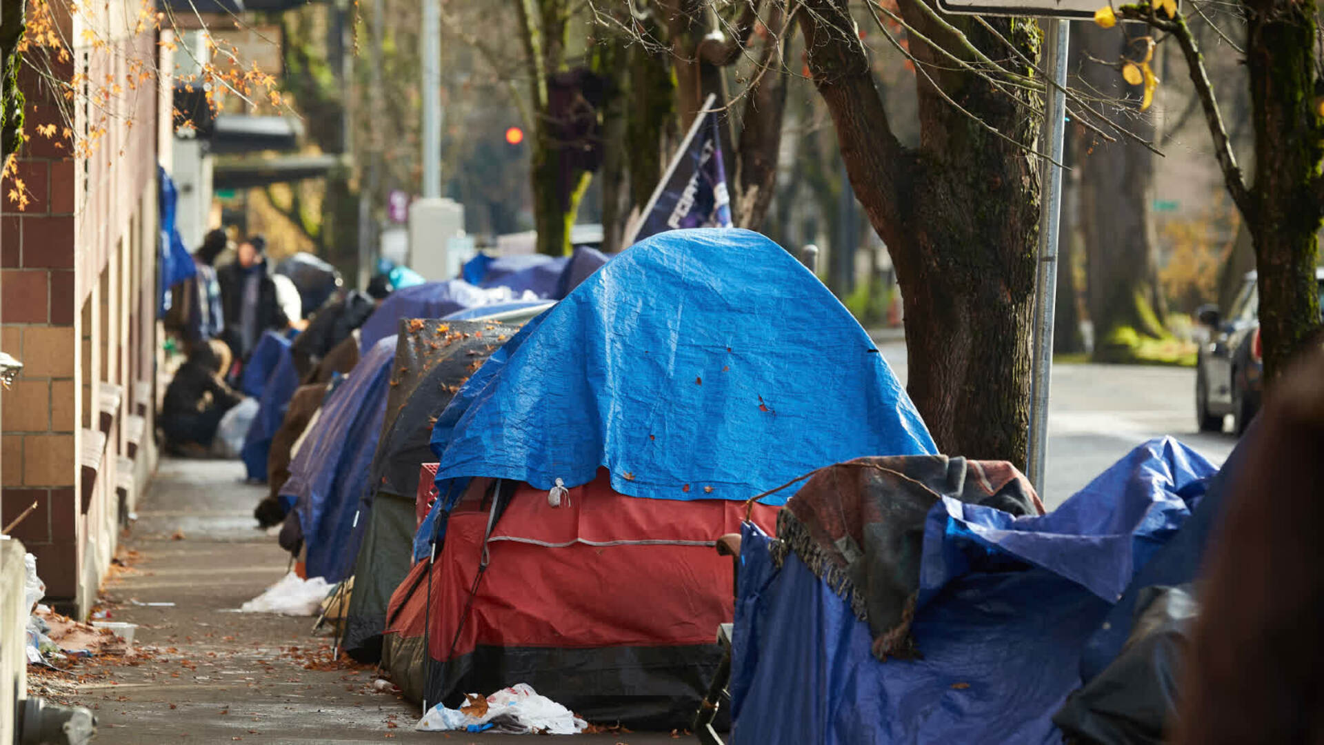 ‘Our fellow Australians’: Three million Aussies ‘close to homelessness’