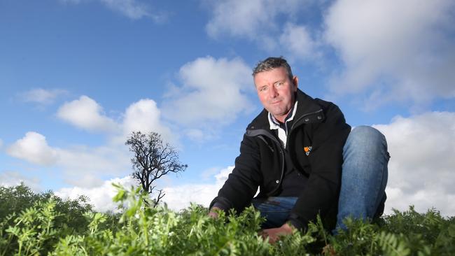 Grain Growers Ltd Chair Brett Hosking said government must help farmers make the energy transition. Picture: Yuri Kouzmin