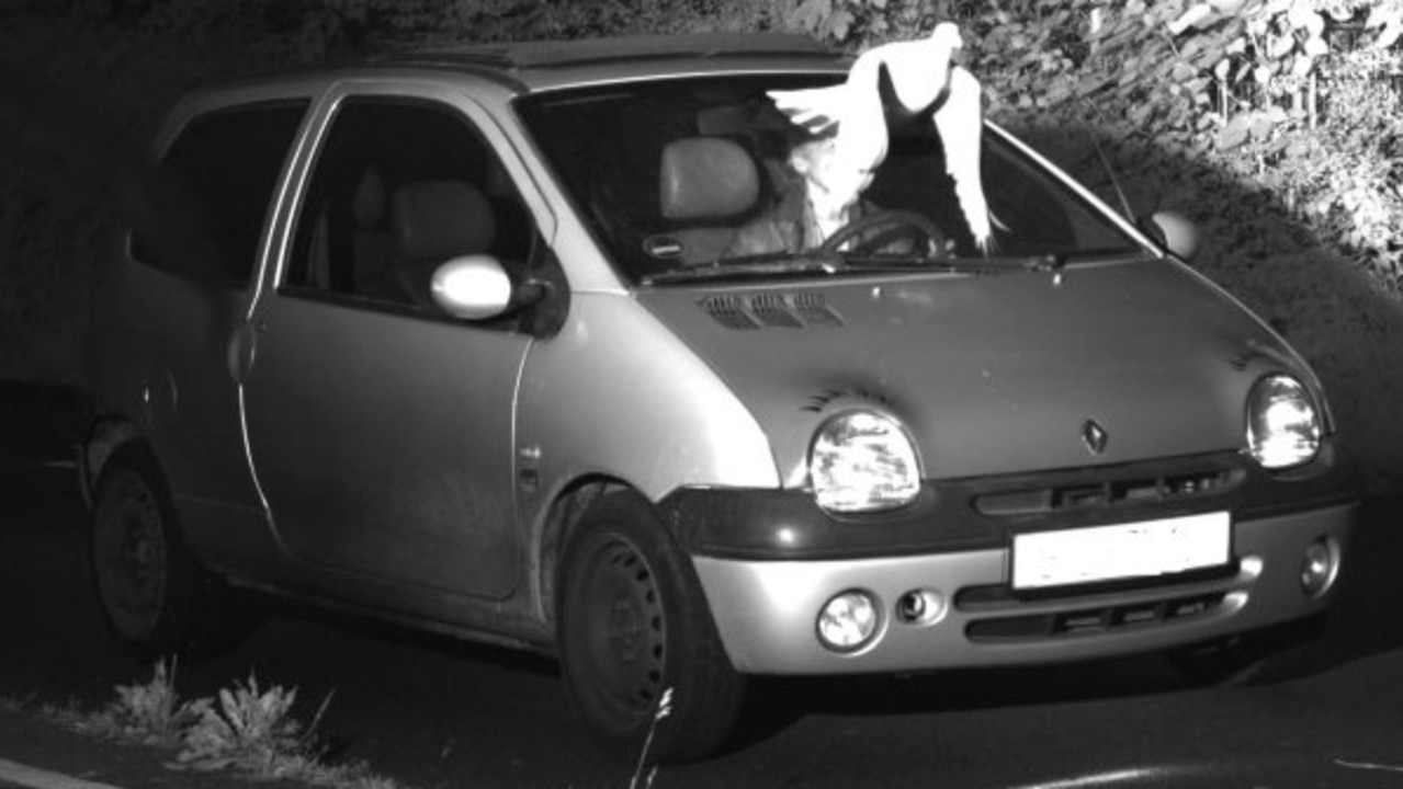 A well placed pigeon saved this driver from a speeding fine.