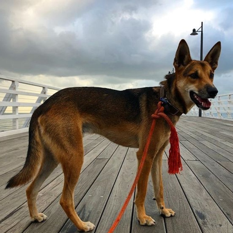 Riggs’ favourite running destination on an early morning. Picture: Gunn Inder