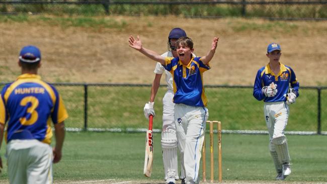 Rory Wright appeals during a Craig Shield match for Ormond in 2022. Picture: Valeriu Campan