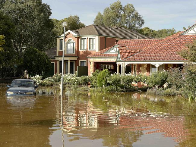 About 40 homes were flooded when the water main picture: Bianca De Marchi