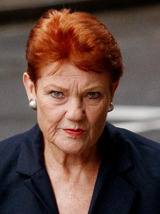 One Nation senator Pauline Hanson said the Crocodile Hunter’s son should “lighten up”. Picture: NewsWire / Nikki Short