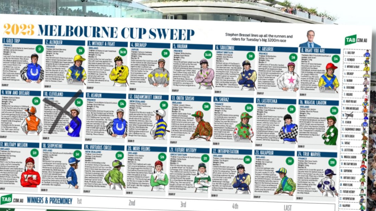 Melbourne Cup 2023 Download your sweep poster The Advertiser