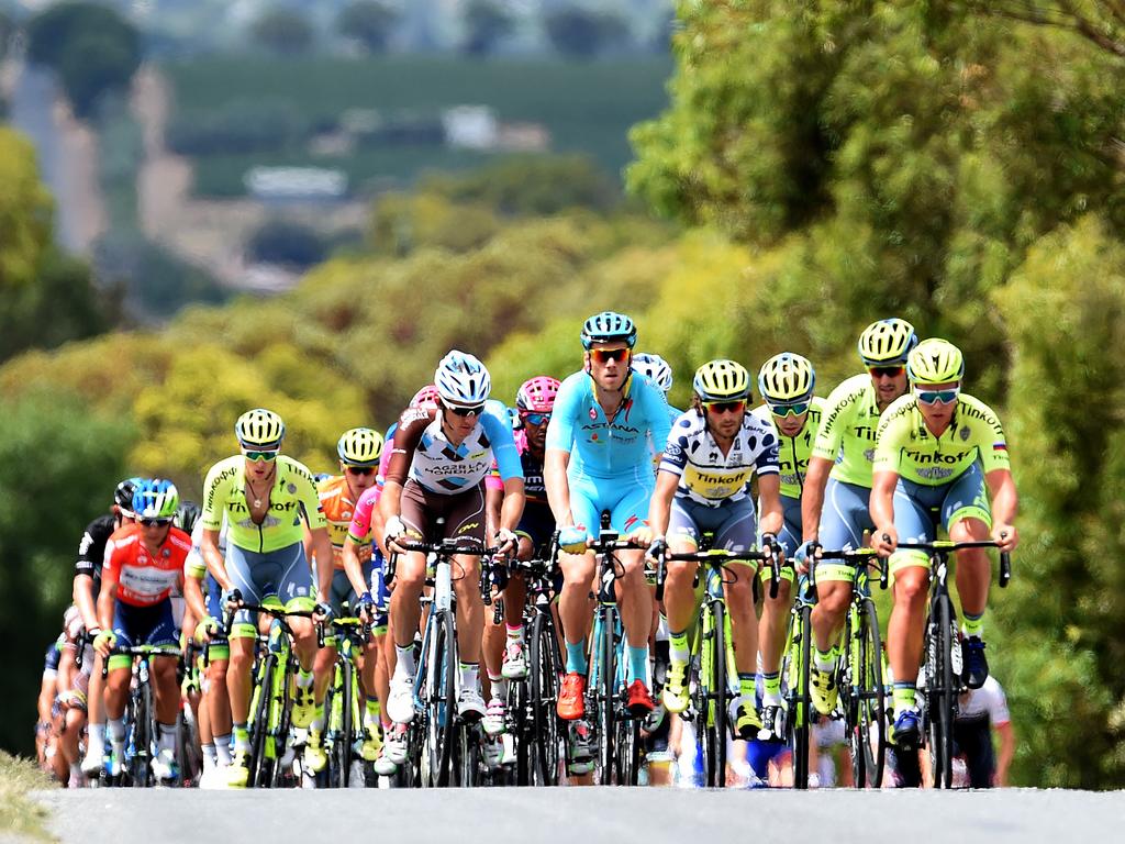 The peloton climbs a short hill at McLaren Vale during Stage 3 of the Tour Down Under. Picture: Dan Peled