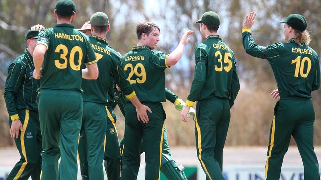 Northcote celebrates a wicket in a Twenty20 fixture against Greenvale Kangaroos last summer. Picture: Hamish Blair