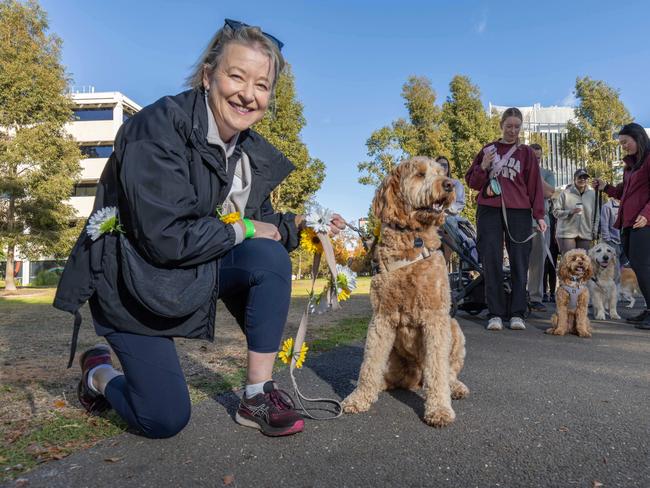 RSPCA SA's Million Paws Walk in Adelaide on May 25, 2025. Picture: Ben Clark