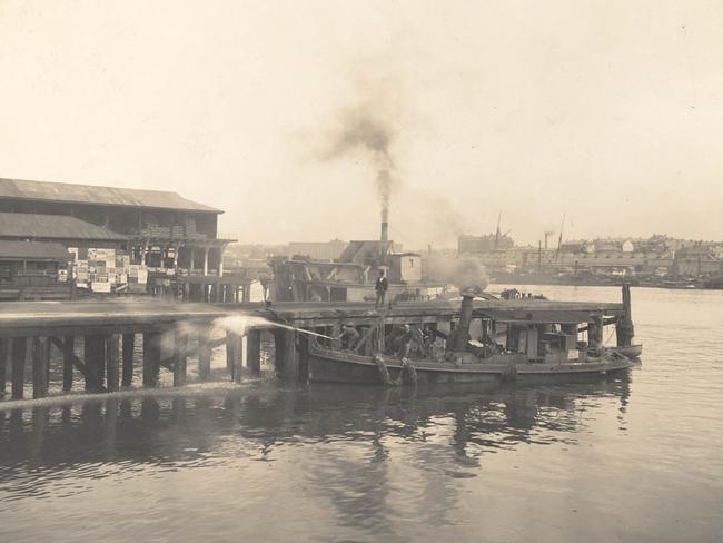 The city’s timber wharves were a haven for vermin, and during the outbreak, were cleansed of silt and sewage to reduce the rat population. Picture: State Library of NSW