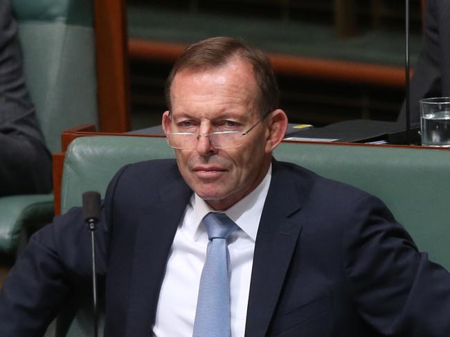 Tony Abbott has now seized on this bullying to say the Turnbull Government’s promised plebiscite is about more than whether to legalise same-sex marriage. Picture: Kym Smith