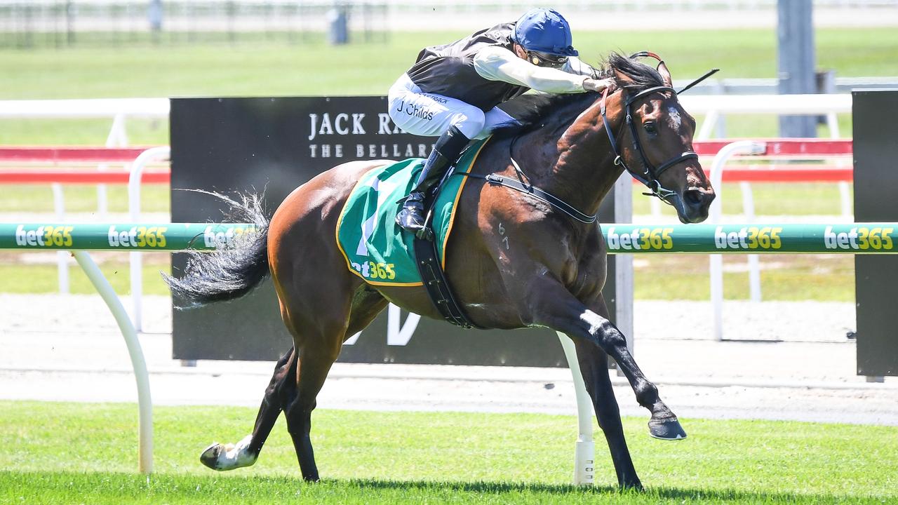 Ballarat trainer Matt Cumani has a long-range Melbourne Cup plan for promising stayer Noble Heights. Picture : Racing Photos via Getty Images.