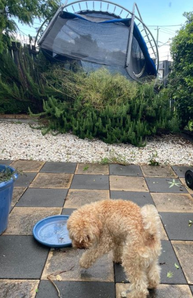 A trampoline went flying in the storm in Brisbane's east on Thursday afternoon. Picture: Lesley Walker