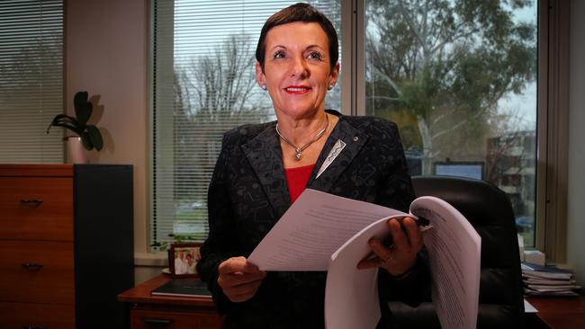 Australia’s first small business and family enterprise ombudsman Kate Carnell said small business operators are among the group unlikely to seek help for mental health problems. Picture: Supplied