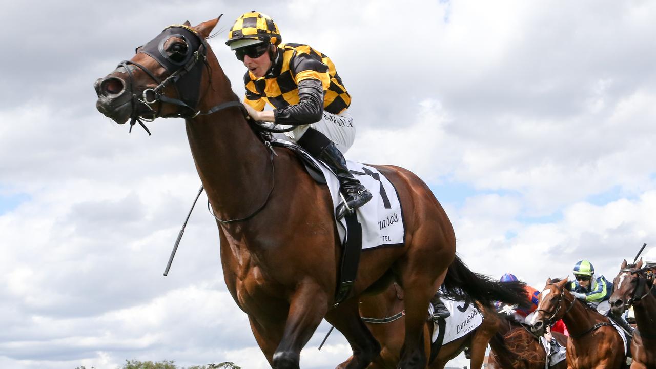 Lamaro's Sth Melbourne Geoffrey Bellmaine Stakes