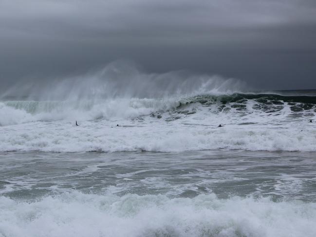 Meanwhile surfers take advantage of the conditions at Terrigal. Picture: Fiona Killman