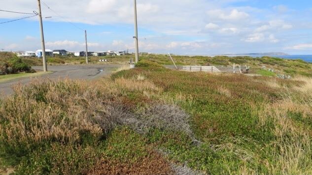 Some residents in Surf Beach and Sunderland Bay are feeling ignored by council after a decision was made to continue with a special charge scheme which would see roads be sealed.