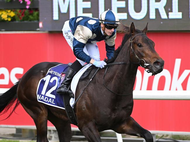 CRANBOURNE, AUSTRALIA - NOVEMBER 23: Ethan Brown riding Nadal winning Race 8, the The Ladbrokes Meteorite during Melbourne Racing at Cranbourne Racecourse on November 23, 2024 in Melbourne, Australia. (Photo by Vince Caligiuri/Getty Images)