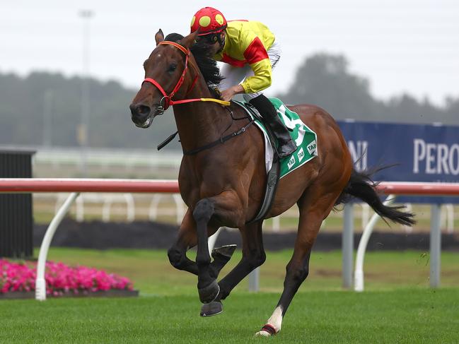 Big Dance runner Zouatica wins at Kembla Grange in November last year. Picture: Jeremy Ng / Getty Images