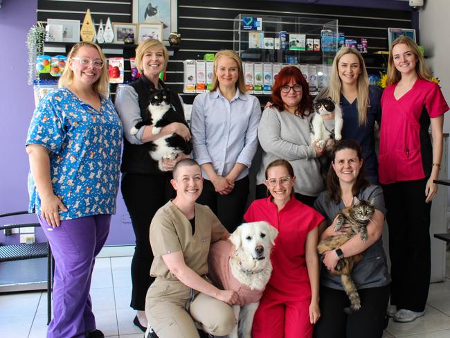 Winners of Brisbane's best vet 2023, Toowong Vet. Picture: Supplied