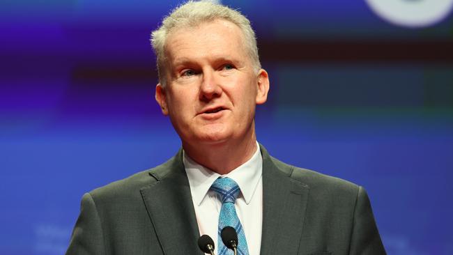 The websites target electorates with high Muslim populations, including Minister Tony Burke’s southwest Sydney seat of Watson. Picture: NCA Newswire