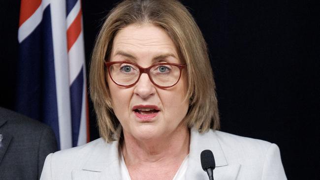 MELBOURNE, AUSTRALIA - NewsWire Photos - December 17, 2024:  Premier Jacinta Allan, Minister for Police Anthony Carbines and Minister for Multicultural Affairs Ingrid Stitt make an announcement at 1 Treasury Place. Picture: NewsWire /ÃDavid Geraghty