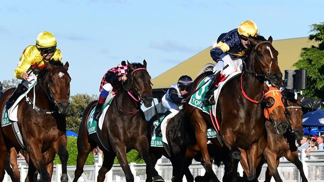 Tofane is going for the Stradbroke-Tatt’s Tiara double. Picture: Trackside Photography