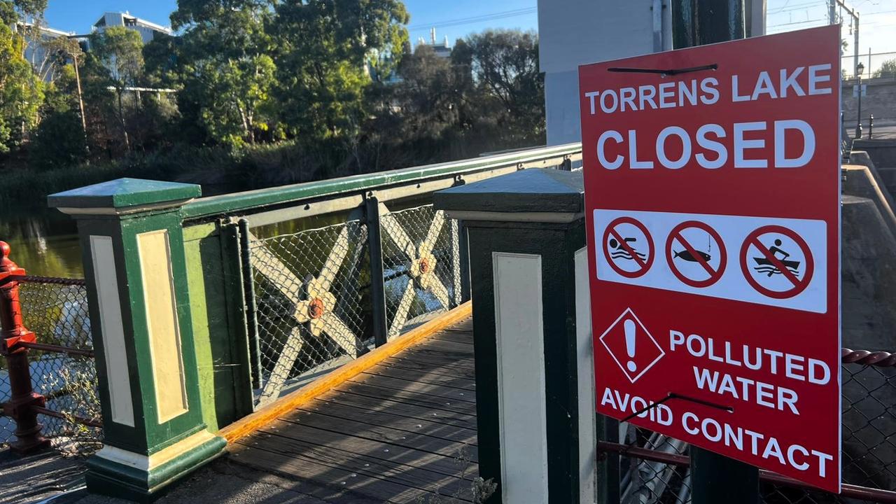 River Torrens closed after dangerous bacteria detected in water