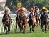 Weekend Best Bets