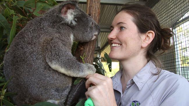 Buster in his 'room' at the Australia Zoo Wildlife Hospital. His healing wound is visible in the bottom right of picture. Robyn Stenner looks in on her patient. Picture: Robyne Cuerel